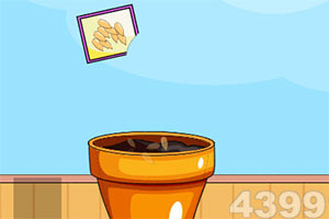 红豆红花能消肿