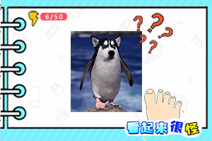 埃及猫没有衣服跳舞动画片原版-第870集