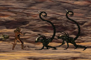 04版要闻 - 湖北网球为什么强？（体育强国路这样走）