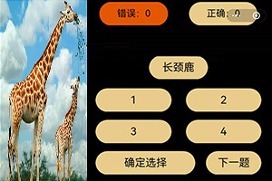 500第一福利视频导航