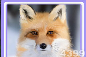 波野多结节义电梯故障