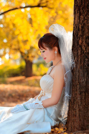 印媒主持人炮轰特朗普认知如小学生