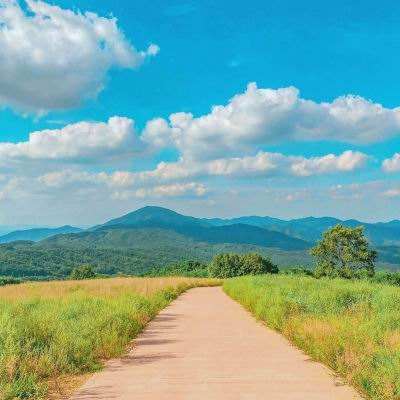 电影《731》发布最新海报!预告片里有个提醒……