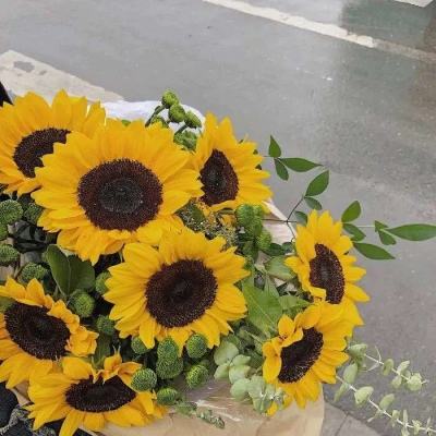 美俄总统通话讨论俄乌冲突等问题