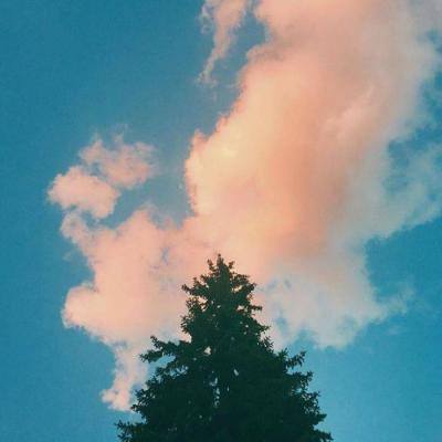 比亚迪长沙工厂被指气体排放超标