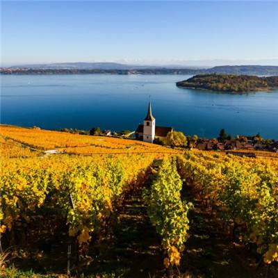 哈塞特和沃尔什是美联储主席热门人选，特朗普盛赞 “两位凯文”