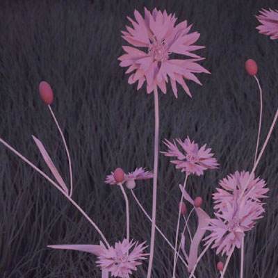 海南离岛免税店增至9家