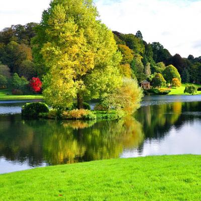 俄罗斯5架战机被“击中”