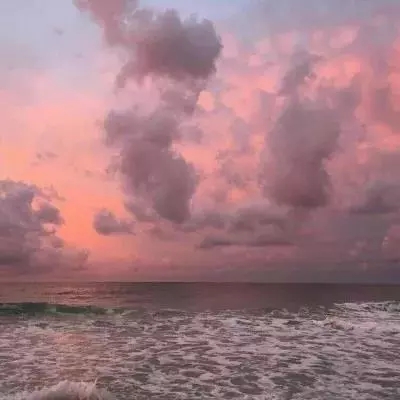 C视频丨小熊猫抱冰、狮子喷雾、黑熊泡澡……碧峰峡的动物们花样解暑