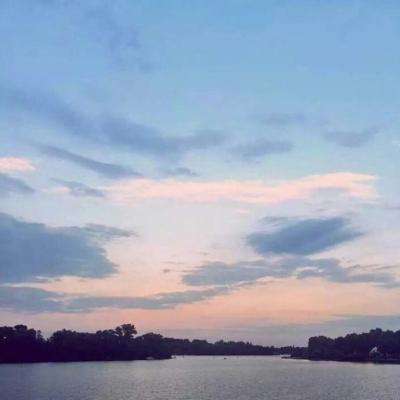 黄色软件app下载免费版大全