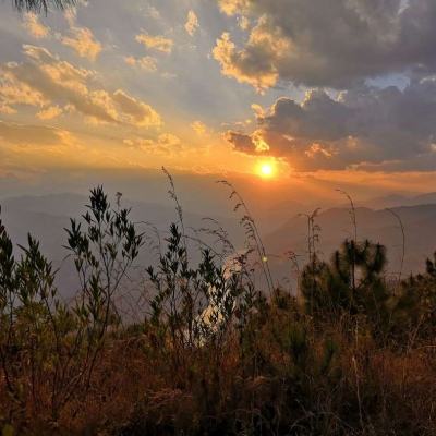 美媒:美国高关税破坏世界和平繁荣