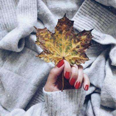 美女拍拍18 在线观看