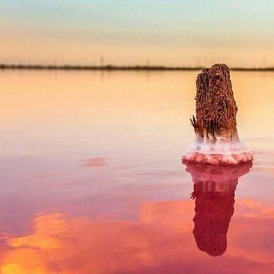 虚假新闻举报电话020-61036188-8096