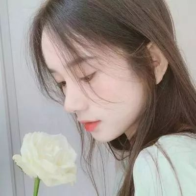 一区二区三区视频网站截图