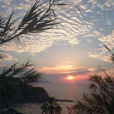 新郑一小区常断电！业主去物业充值还被限额？多方回应