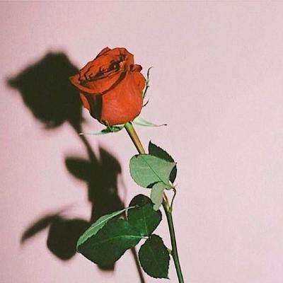 锦月如歌爆改大男主复仇