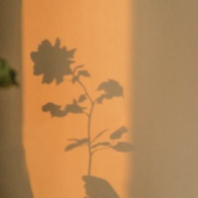 山姆不懂中国会员了？