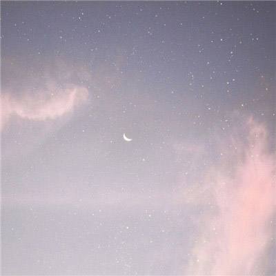 蘑菇mogu2.6.0版本官网