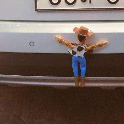 东莞暴雨眼镜蛇爬上2米高窗户逃生