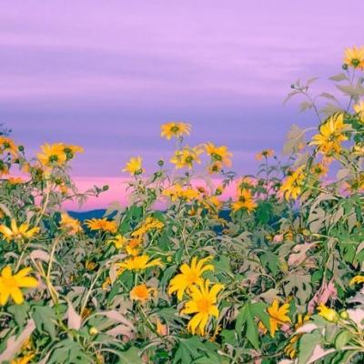 健康家电成为家电板块关注点