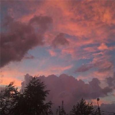 迟到11分钟 韩国前第一夫人金建希首次接受特检组调查