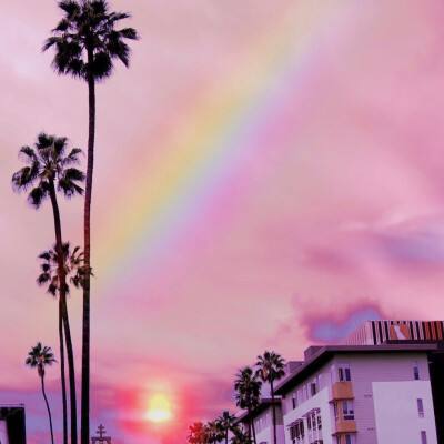 日本理论片手机在线观看影片