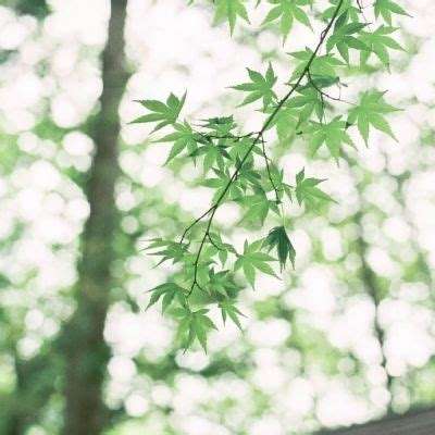 上海博物馆公布2018年展览计划 五大特展三大境外展值得期待