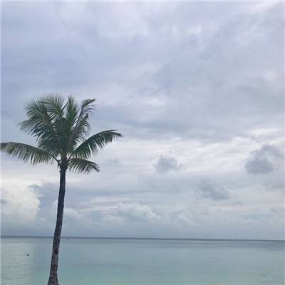 肆无忌惮“靠石油吃石油”，中国海油原副总经理袁光宇被开除党籍