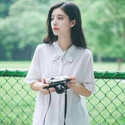 月季花扮靓北京道路