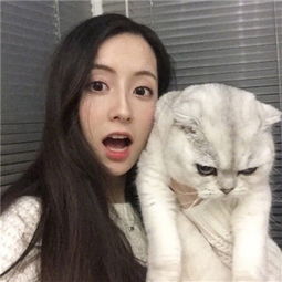 世运蓉城|筹备获认可项目亮点多成都世界运动会今晚开启大幕