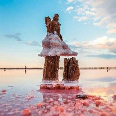 借政策东风,创美好生活(今日谈)