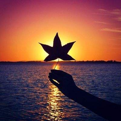 4438x成人网最大色成网站