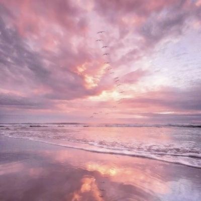 芋喵喵免费观看全集