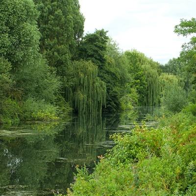 踩踏天地脚踏天地免费