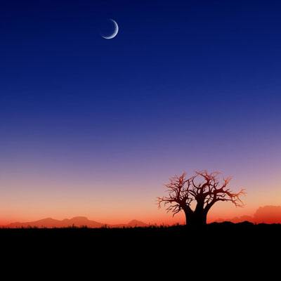 基层管理者的前 90 天