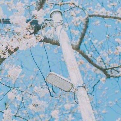 巡游出租车探索巡网融合 空驶率下降