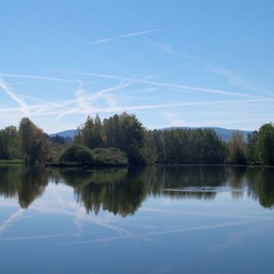 美卫星照片曝光:俄核潜艇基地受损