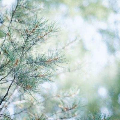 韩国第2季GDP环升0.6% - July 26, 2025