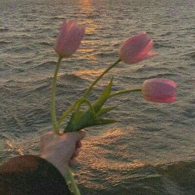 我搬起桌子,从初中辍学了