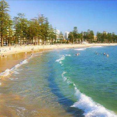 首发经济展“新”意