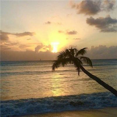 色aV色婷婷91人妻久久久截图1