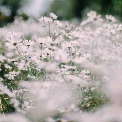 对话|奕派科技汪俊君:产品力是根本,中期目标是打造爆款