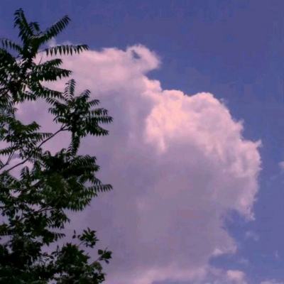 香港迪士尼再度关闭背后:病毒传播率或已高于武汉封城前水平,“情况已有点失控”