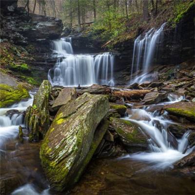 从“键”言献策读懂全过程人民民主