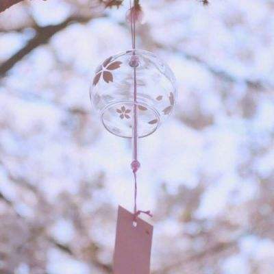 民进中央与财政部在赣联合调研 健全长江流域多元化生态保护修复投入机制