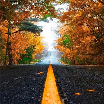 礼来冲击万亿美元市值之路受阻:贸易风险与减肥药遇挫成拦路虎