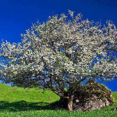 财政部:免保育教育费政策将适时完善