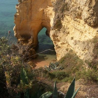 锐减90万!日本人口数据创有记录以来最大跌幅