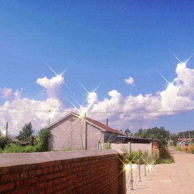 普京会见美国特使威特科夫,能谈出什么谁会让步,此次会见有三个特殊