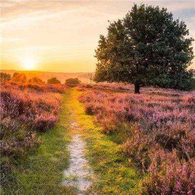 中青视评|一封家书